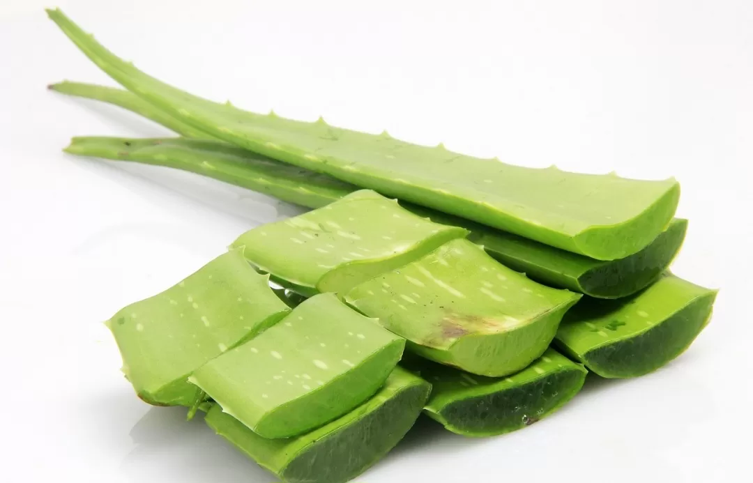 5 Tips Cara Menghilangkan Bekas Jerawat Pada Muka Secara Alami